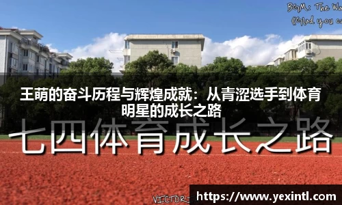 BB贝博登录入口