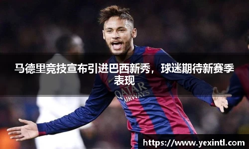 BB贝博登录入口