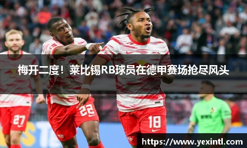 BB贝博登录入口