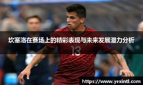 BB贝博登录入口