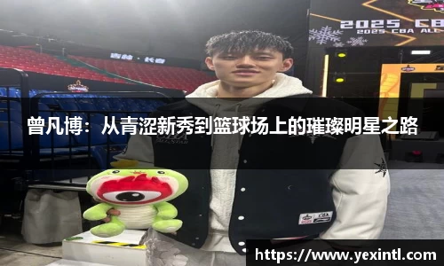 BB贝博登录入口