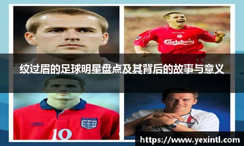 BB贝博登录入口